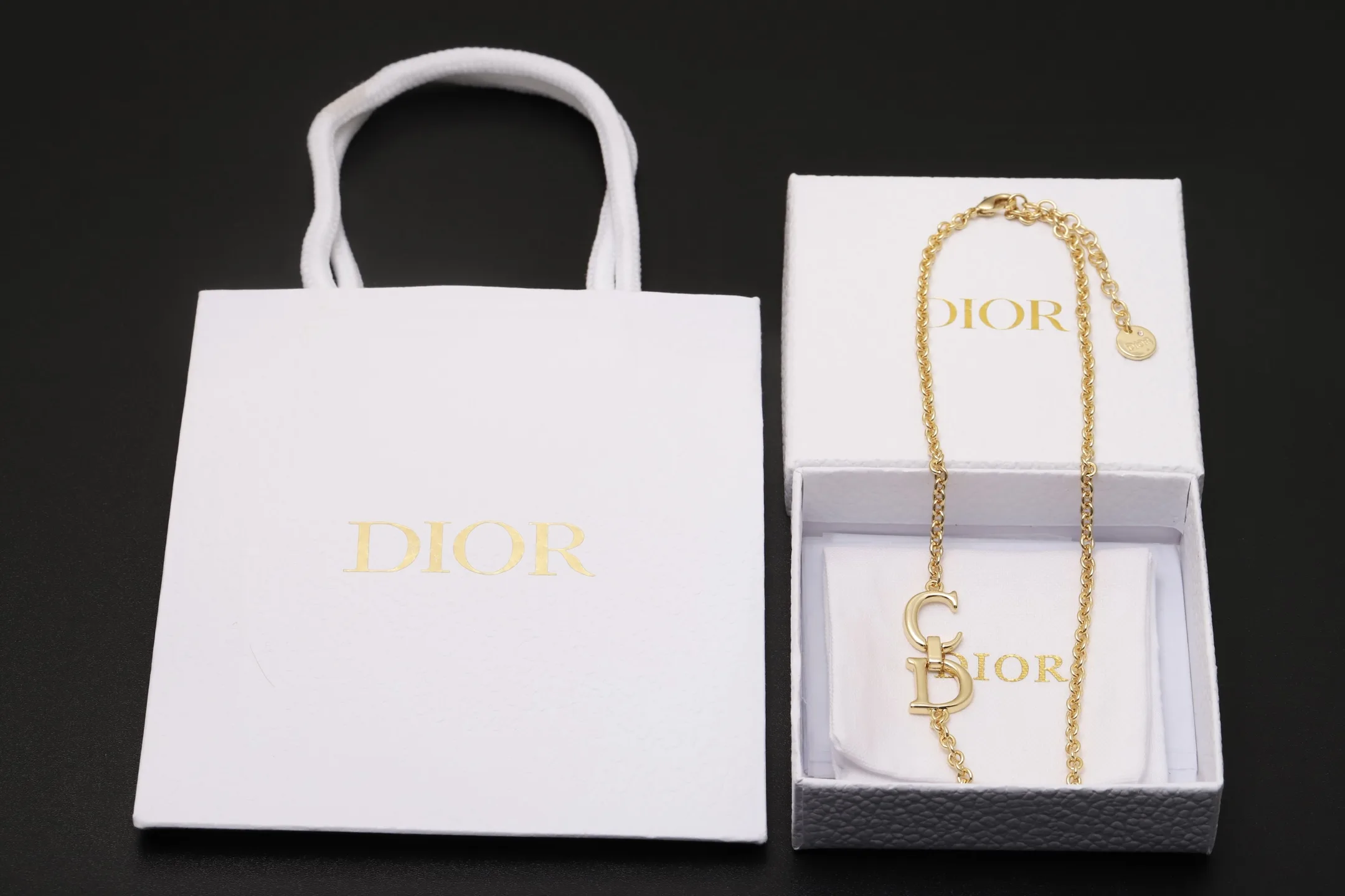 Saddle CD Link Necklace D12017490 — view 2