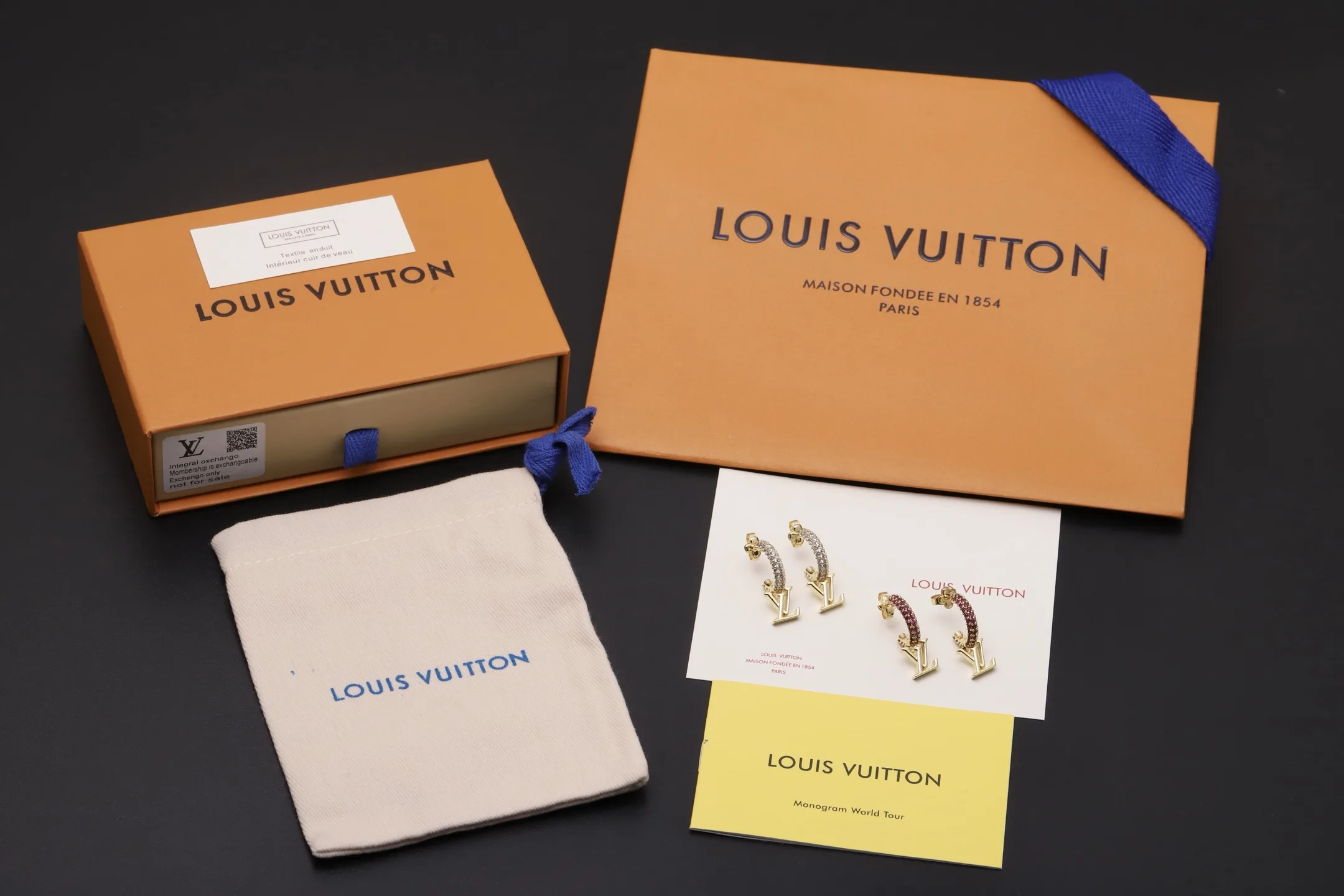 LV Iconic Crystal-Embellished Hoop Earrings D14017670 — view 2