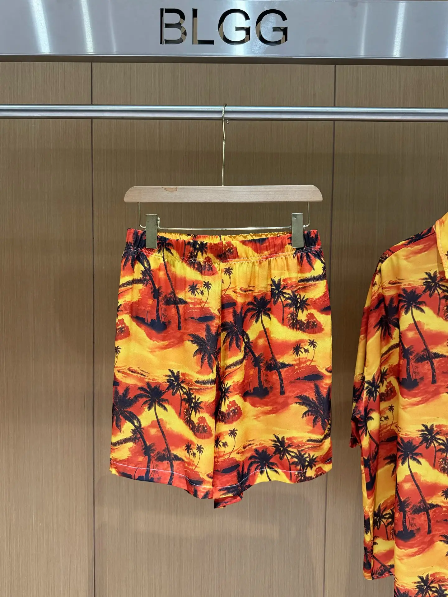 Palm Tree Print Chiffon Shorts D14011412