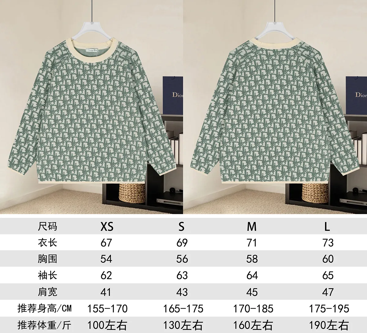 Oblique Jacquard Crew-Neck Sweater D20021628 — view 9