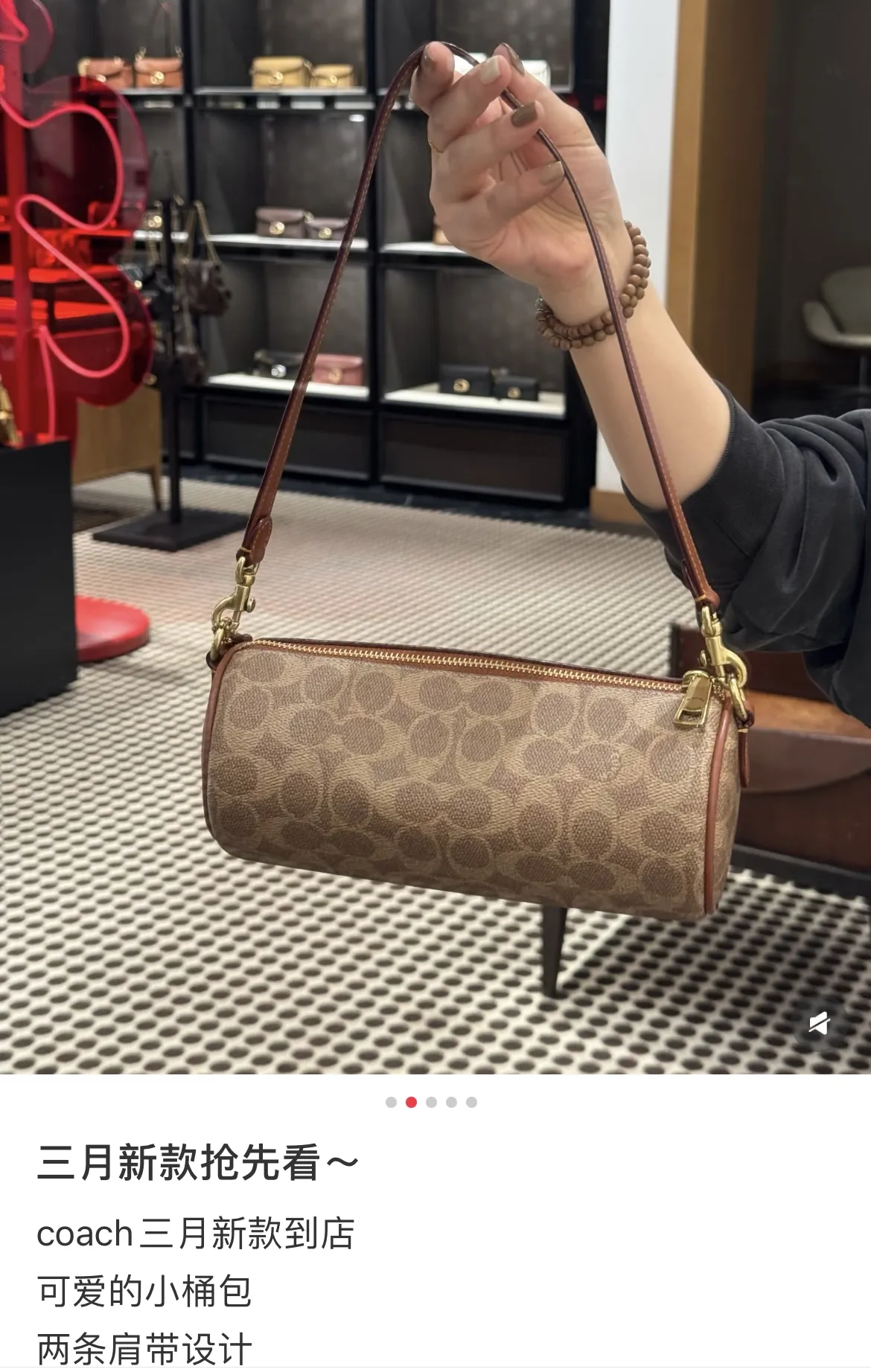 Monogram Cylinder Shoulder Bag D33017978 — view 9