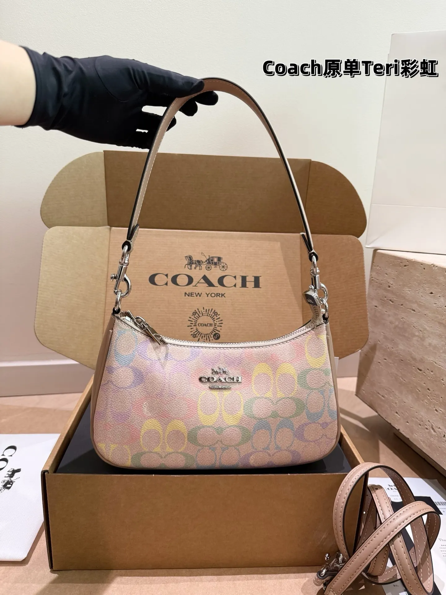 Coach Rainbow Signature Teri Shoulder Bag D30018147