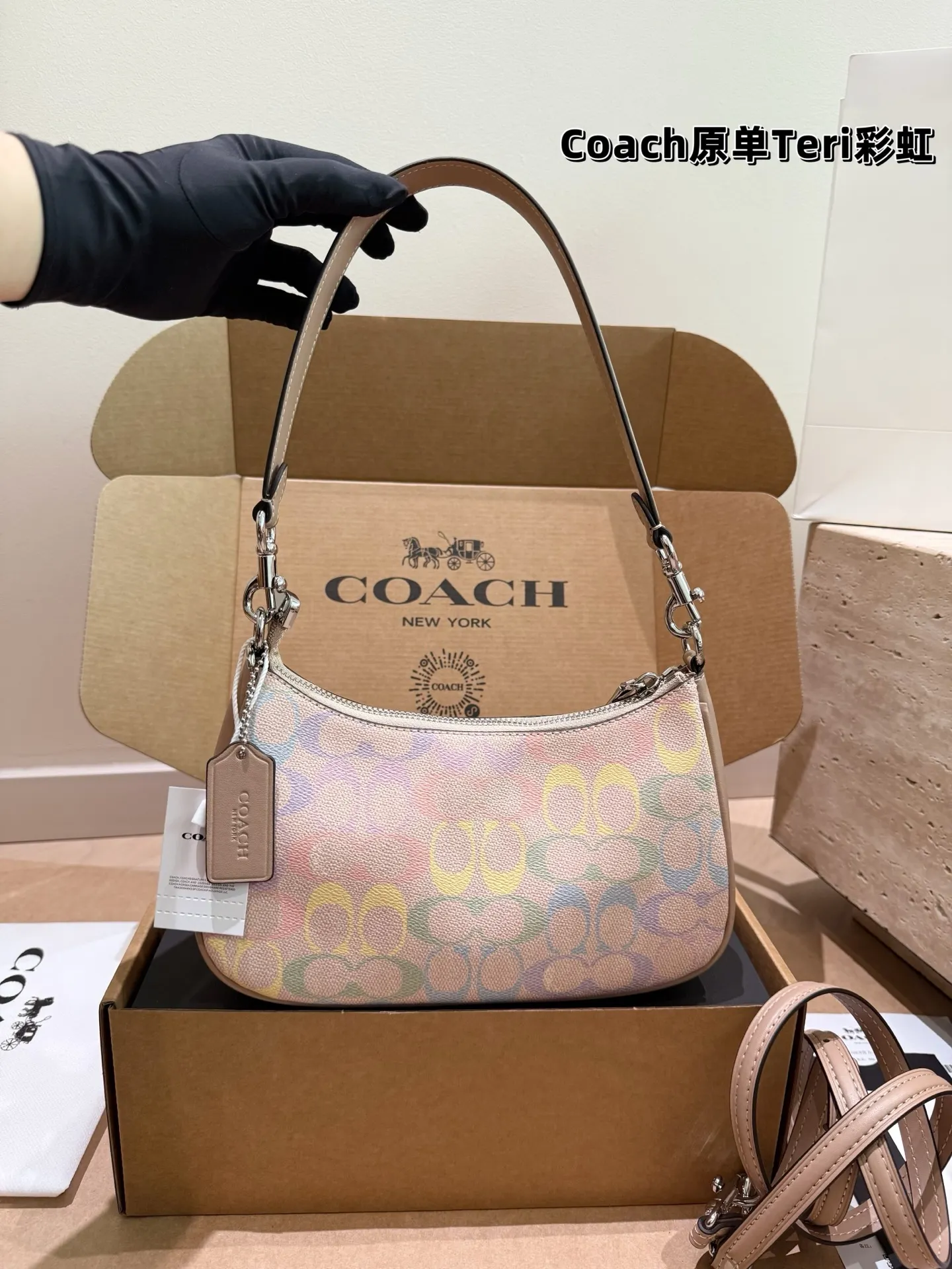 Coach Rainbow Signature Teri Shoulder Bag D30018147 — view 3