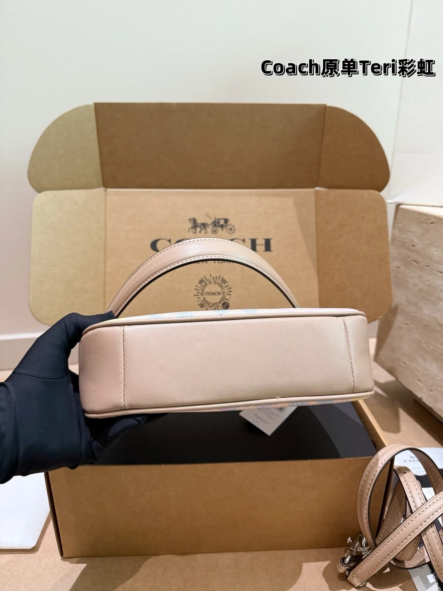 Coach Rainbow Signature Teri Shoulder Bag D30018147 — view 5