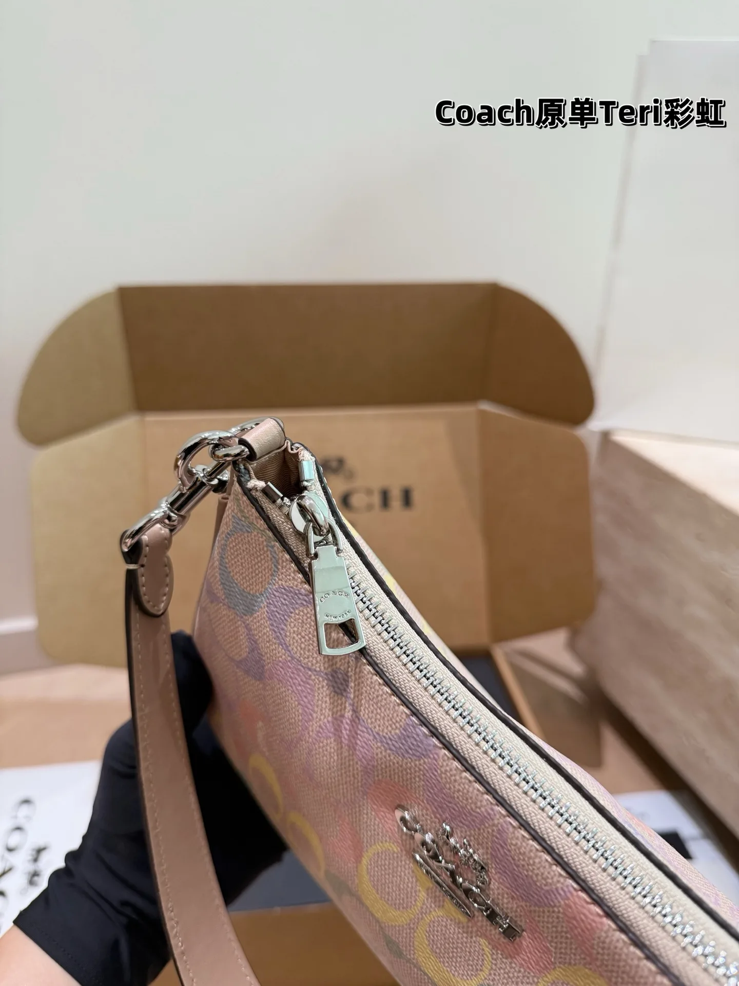 Coach Rainbow Signature Teri Shoulder Bag D30018147 — view 6