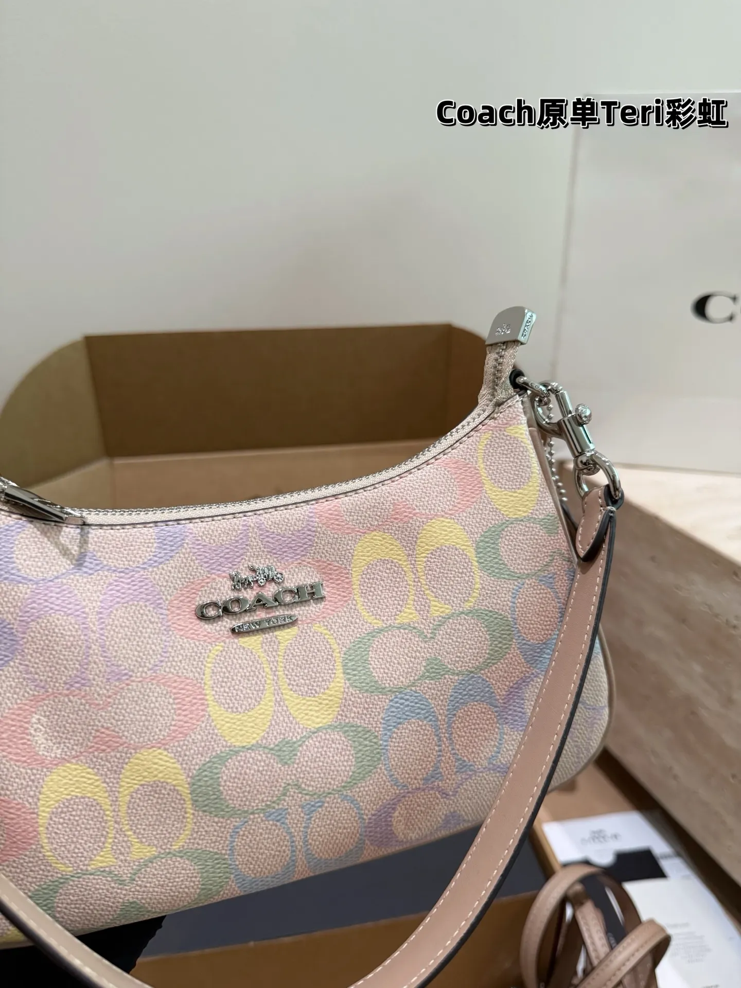 Coach Rainbow Signature Teri Shoulder Bag D30018147 — view 7