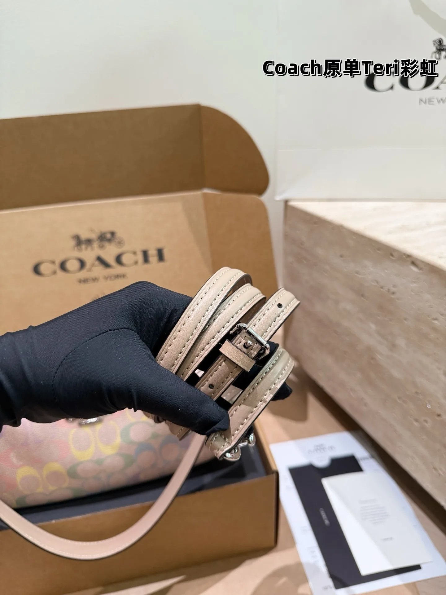 Coach Rainbow Signature Teri Shoulder Bag D30018147 — view 8