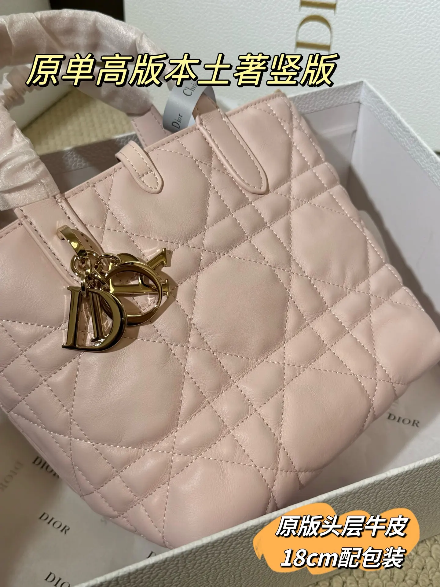 Lady Dior Cannage Quilted Tote Bag D70017761 — view 5