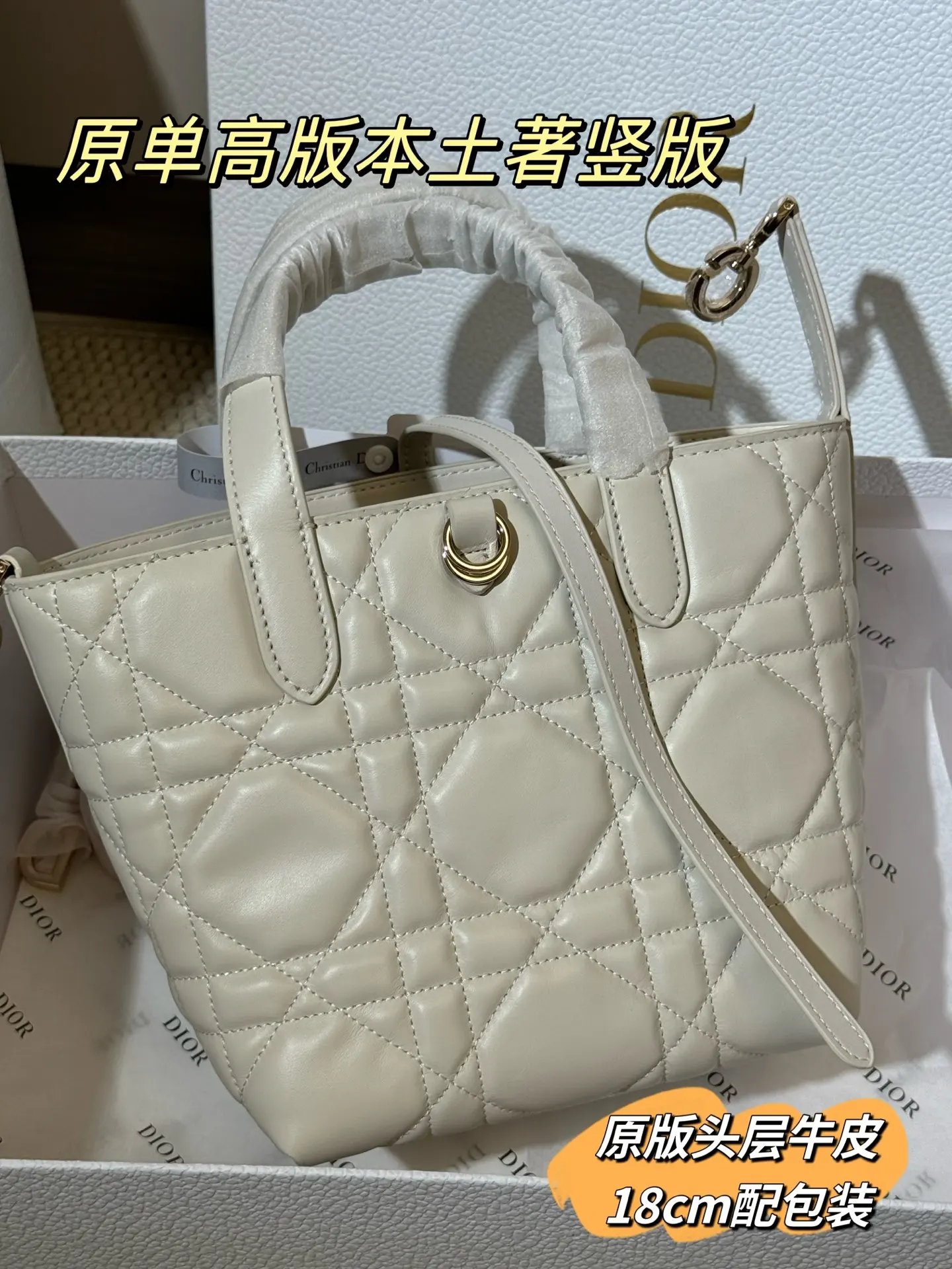 Lady Dior Cannage Quilted Tote Bag D70017761 — view 15