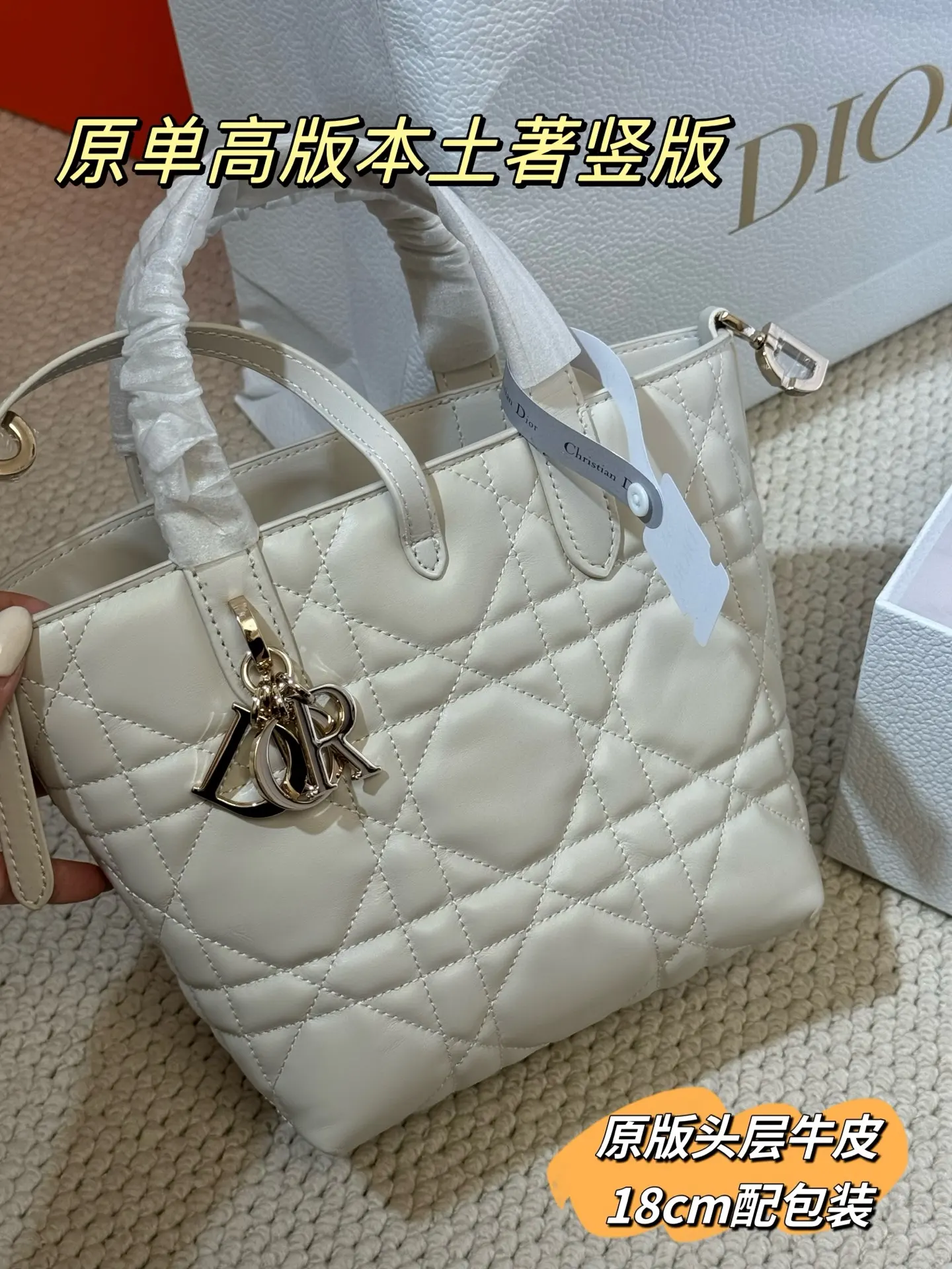 Lady Dior Cannage Quilted Tote Bag D70017761 — view 17