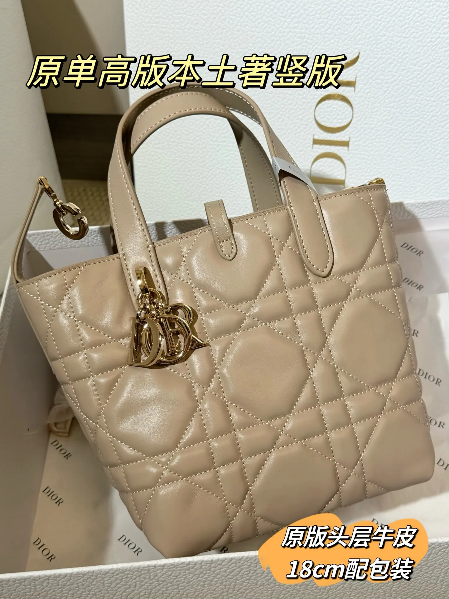 Lady Dior Cannage Quilted Tote Bag D70017761 — view 19