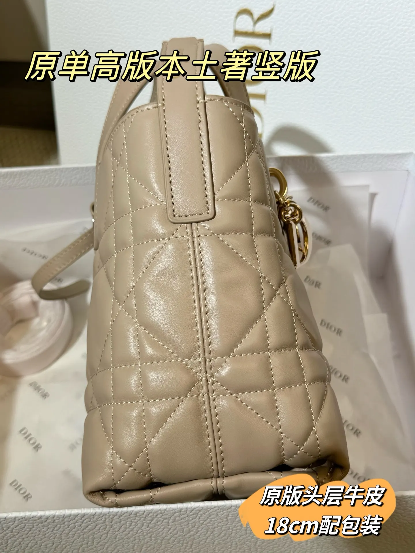 Lady Dior Cannage Quilted Tote Bag D70017761 — view 20