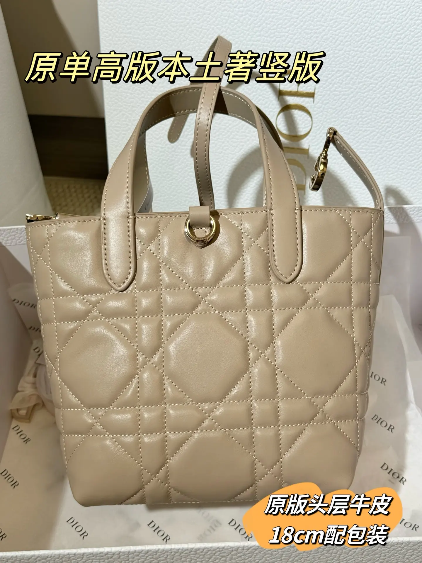Lady Dior Cannage Quilted Tote Bag D70017761 — view 21
