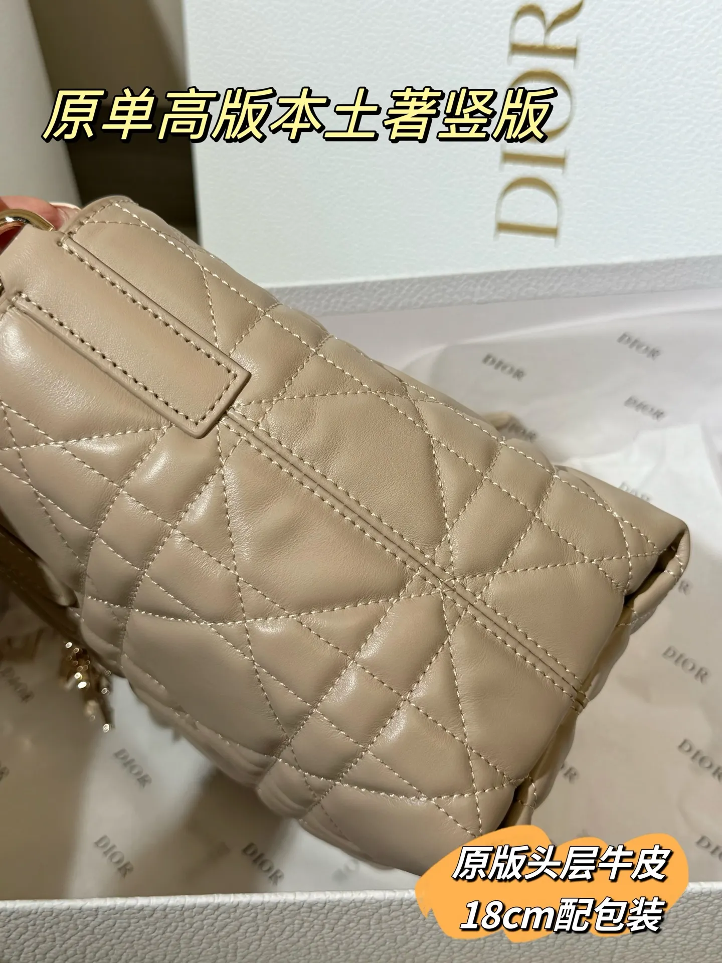 Lady Dior Cannage Quilted Tote Bag D70017761 — view 22