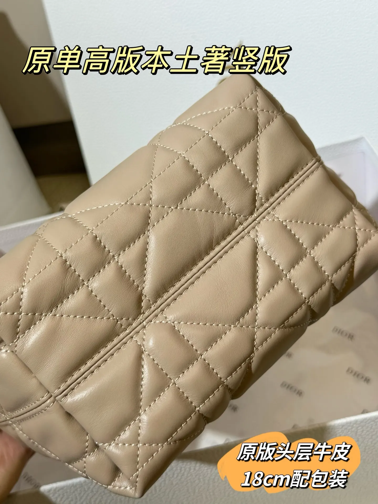 Lady Dior Cannage Quilted Tote Bag D70017761 — view 23