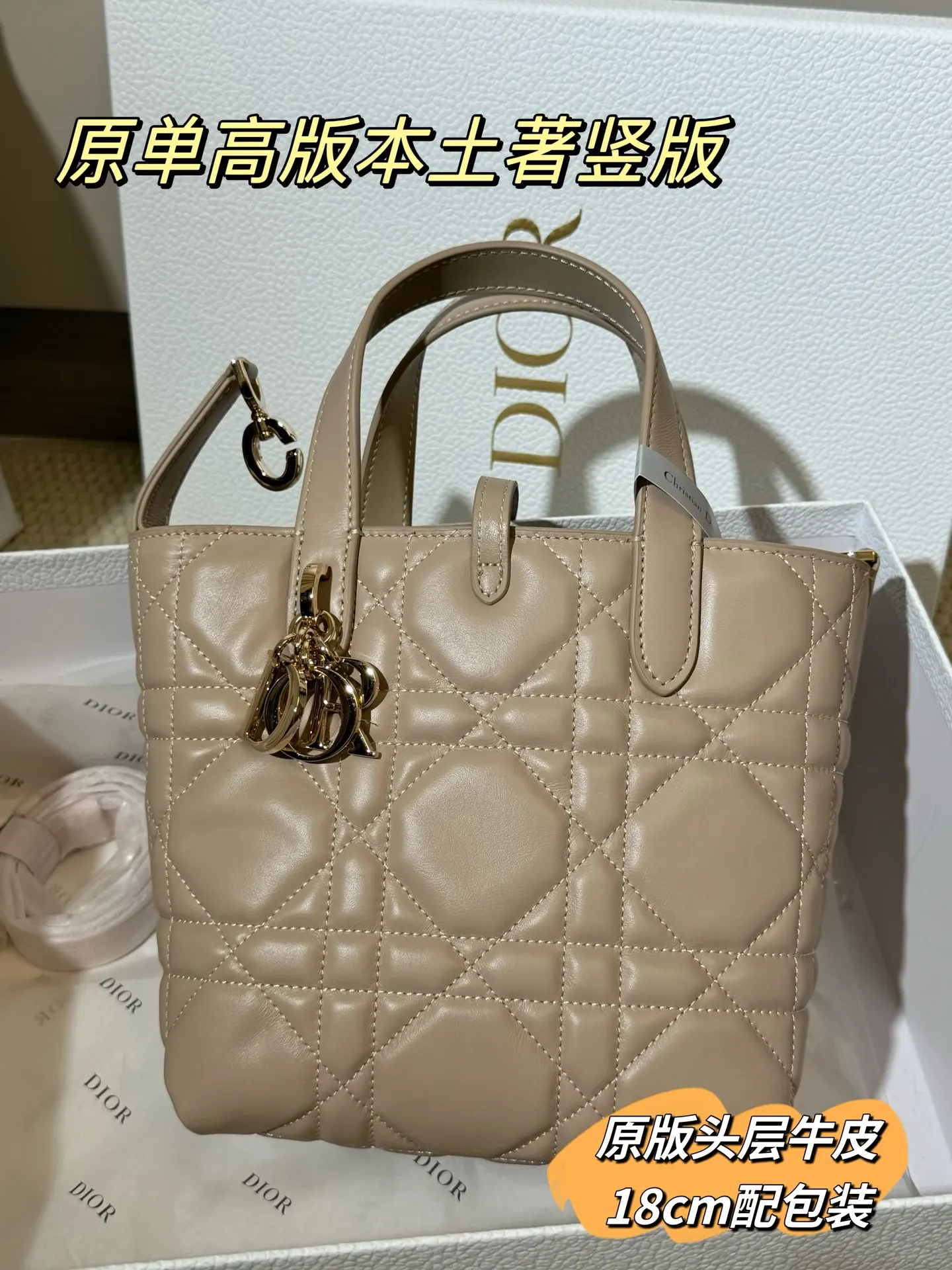 Lady Dior Cannage Quilted Tote Bag D70017761 — view 27