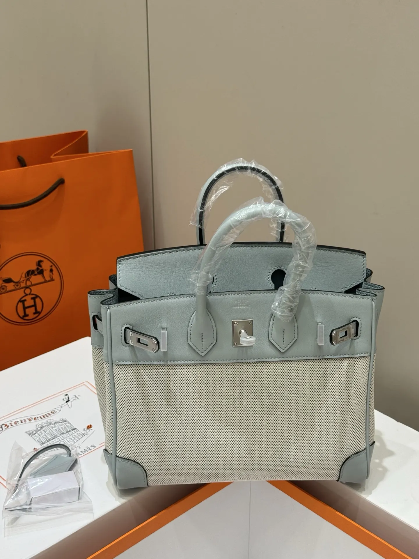 Birkin 25 Canvas & Leather Handbag D59017774 — view 35