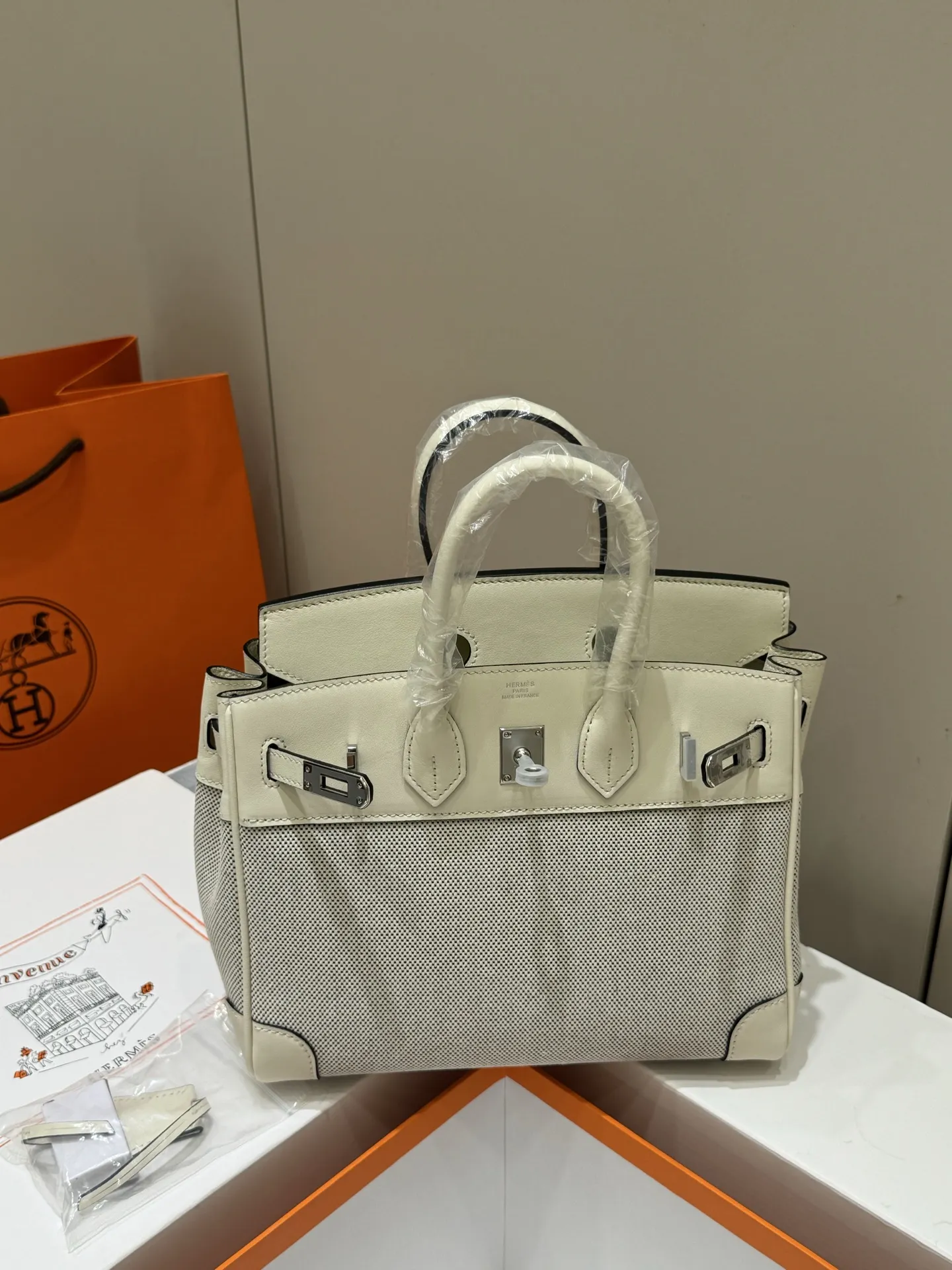 Birkin 25 Canvas & Leather Handbag D59017774 — view 16