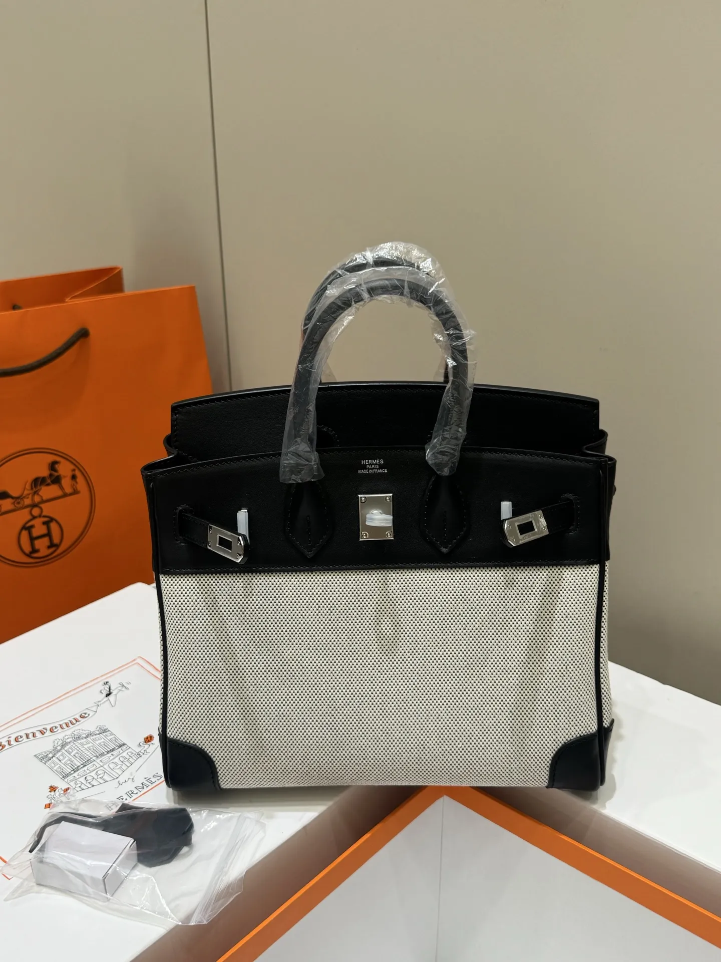 Birkin 25 Canvas & Leather Handbag D59017774 — view 25