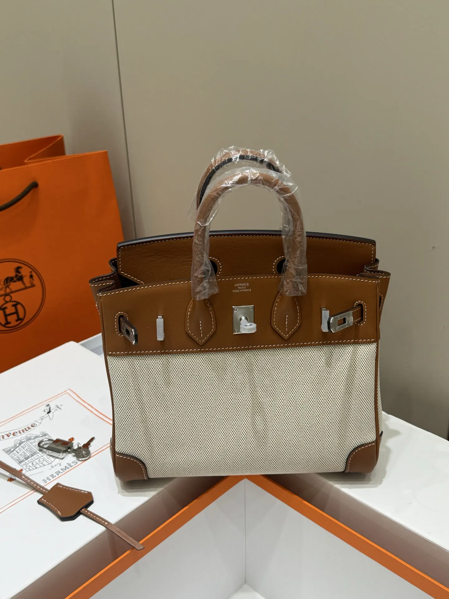 Birkin 25 Canvas & Leather Handbag D59017774