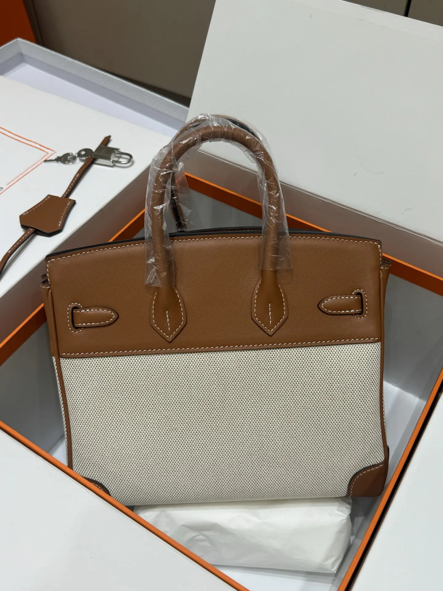 Birkin 25 Canvas & Leather Handbag D59017774 — view 6