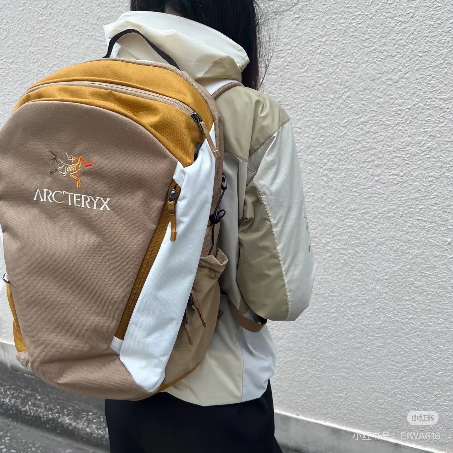 Arc'teryx Mantis 26 Backpack D36018457 — view 5