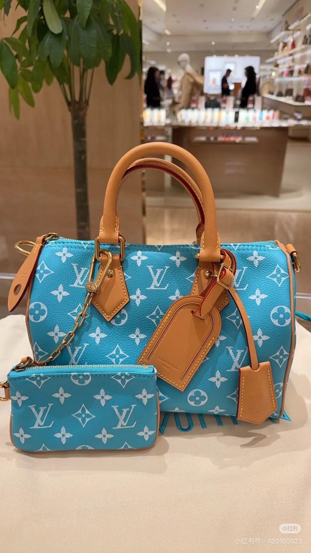 Speedy Bandoulière 25 Monogram Handbag D43017806 — view 4