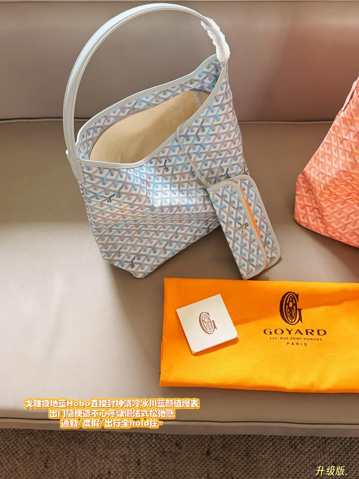 Goyard Hobo Tote Bag D31018235