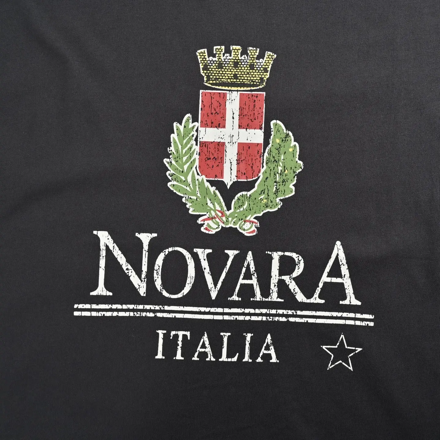 Novara Distressed Logo Print T-Shirt D22012642 — view 8