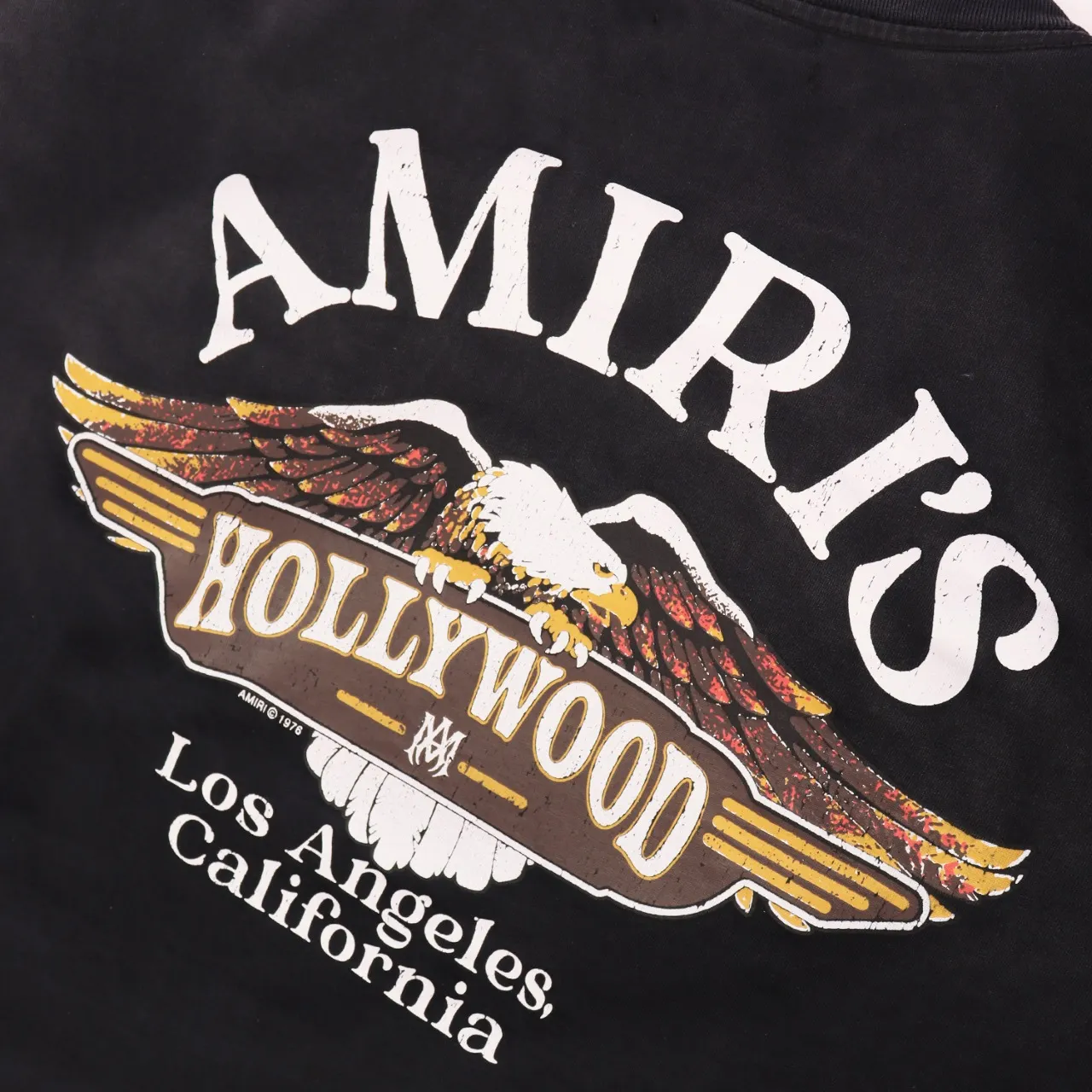 Hollywood Eagle Logo Washed Cotton T-Shirt D9511777 — view 3