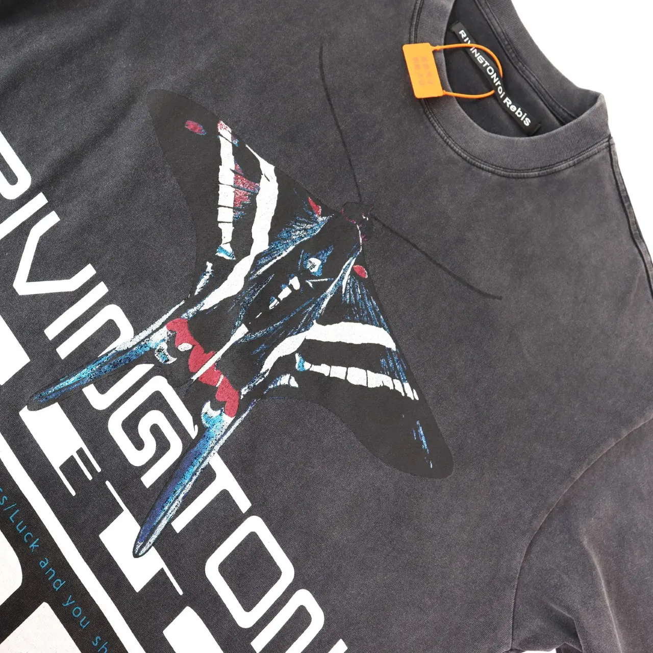 Rivington Roi Rebis Graphic Print Washed T-Shirt D9511778 — view 5