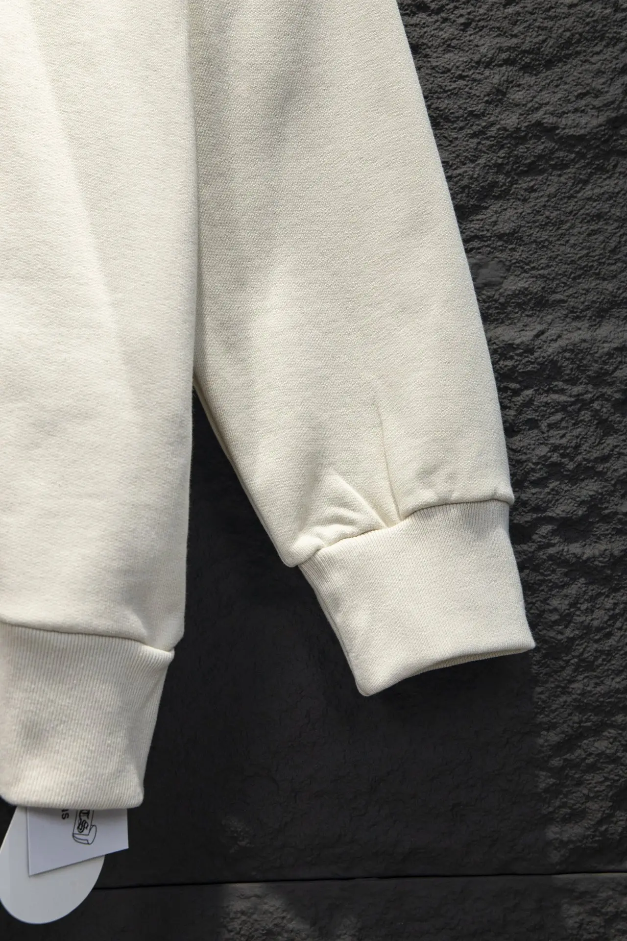 Embroidered Logo Oversized Crew-Neck Sweatshirt D16922992 — view 8