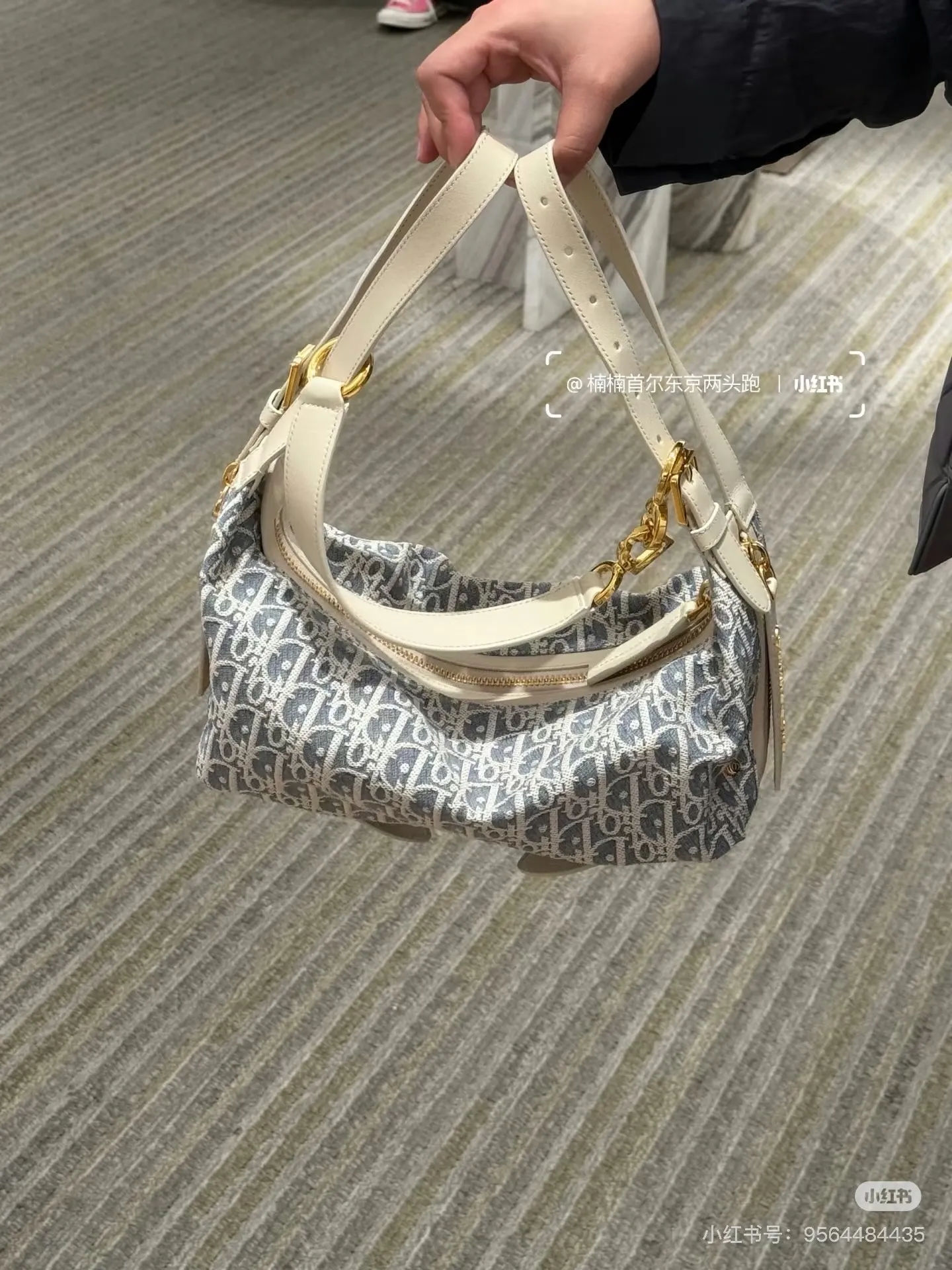 Dior Oblique Canvas Hobo Bag D38018062
