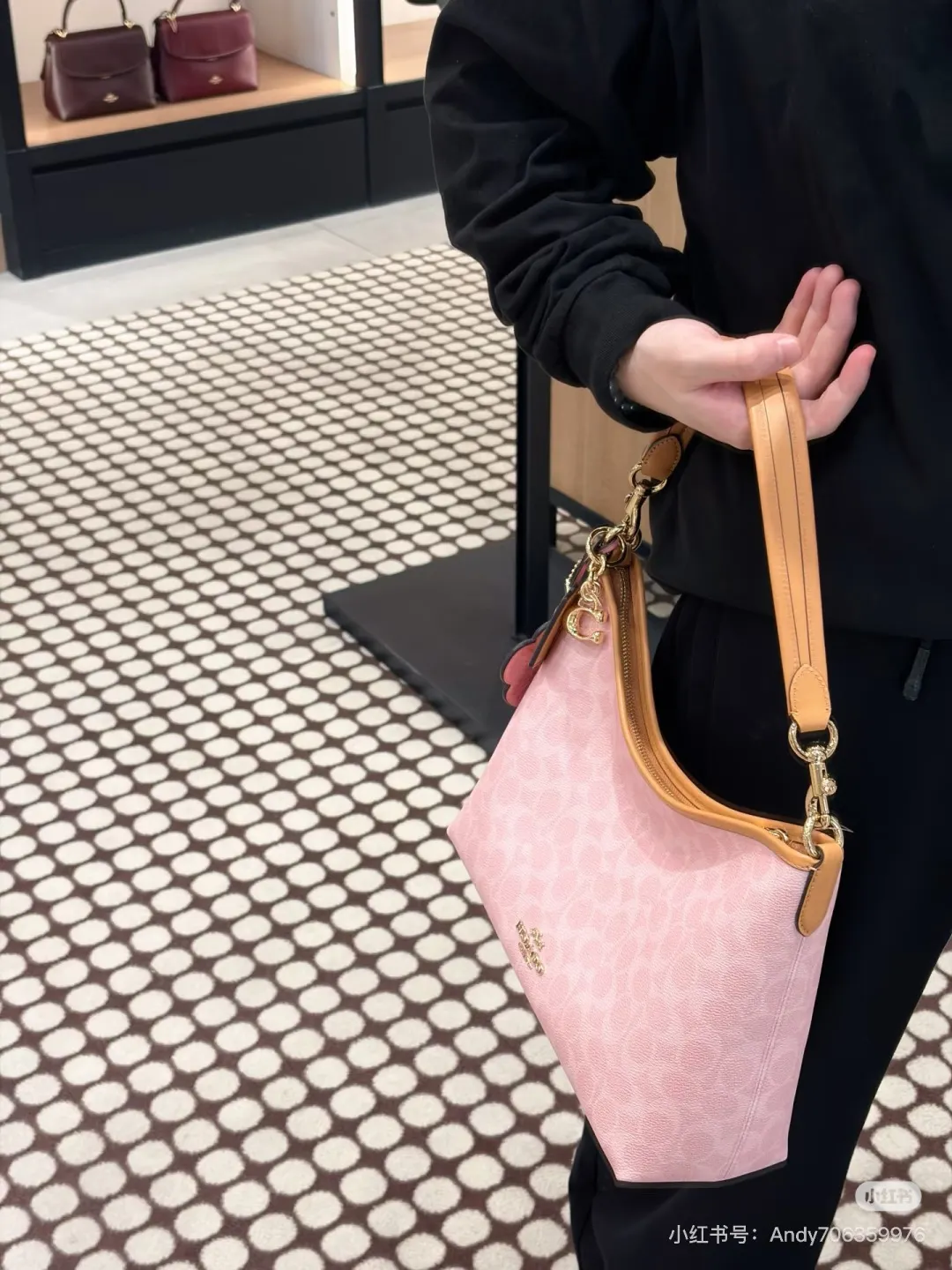 Coach Signature Hobo Bag D35518001 — view 8