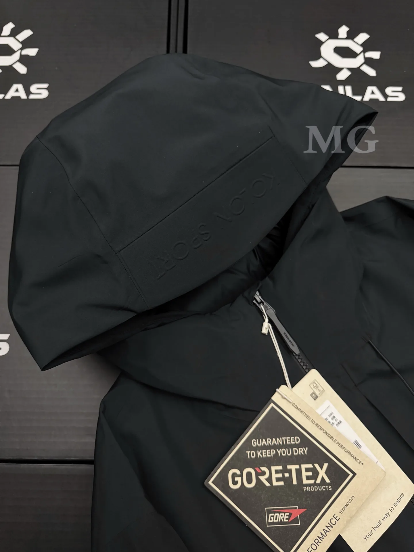 Hike Series GORE-TEX Hooded Down Jacket D58019384 — view 5