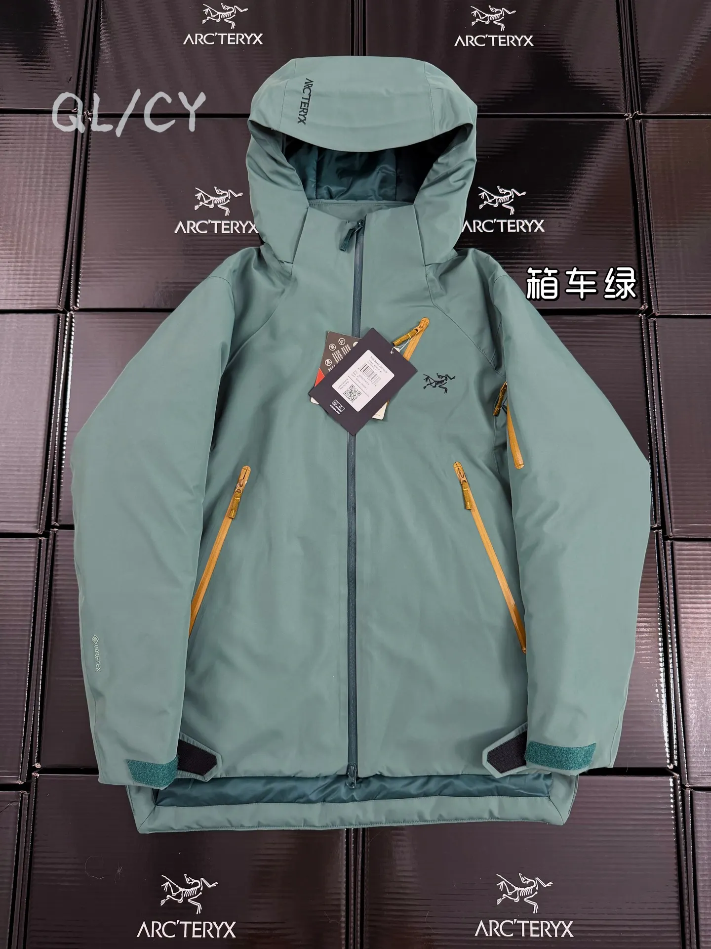 Nita Down GORE-TEX Hooded Puffer Jacket D58019664