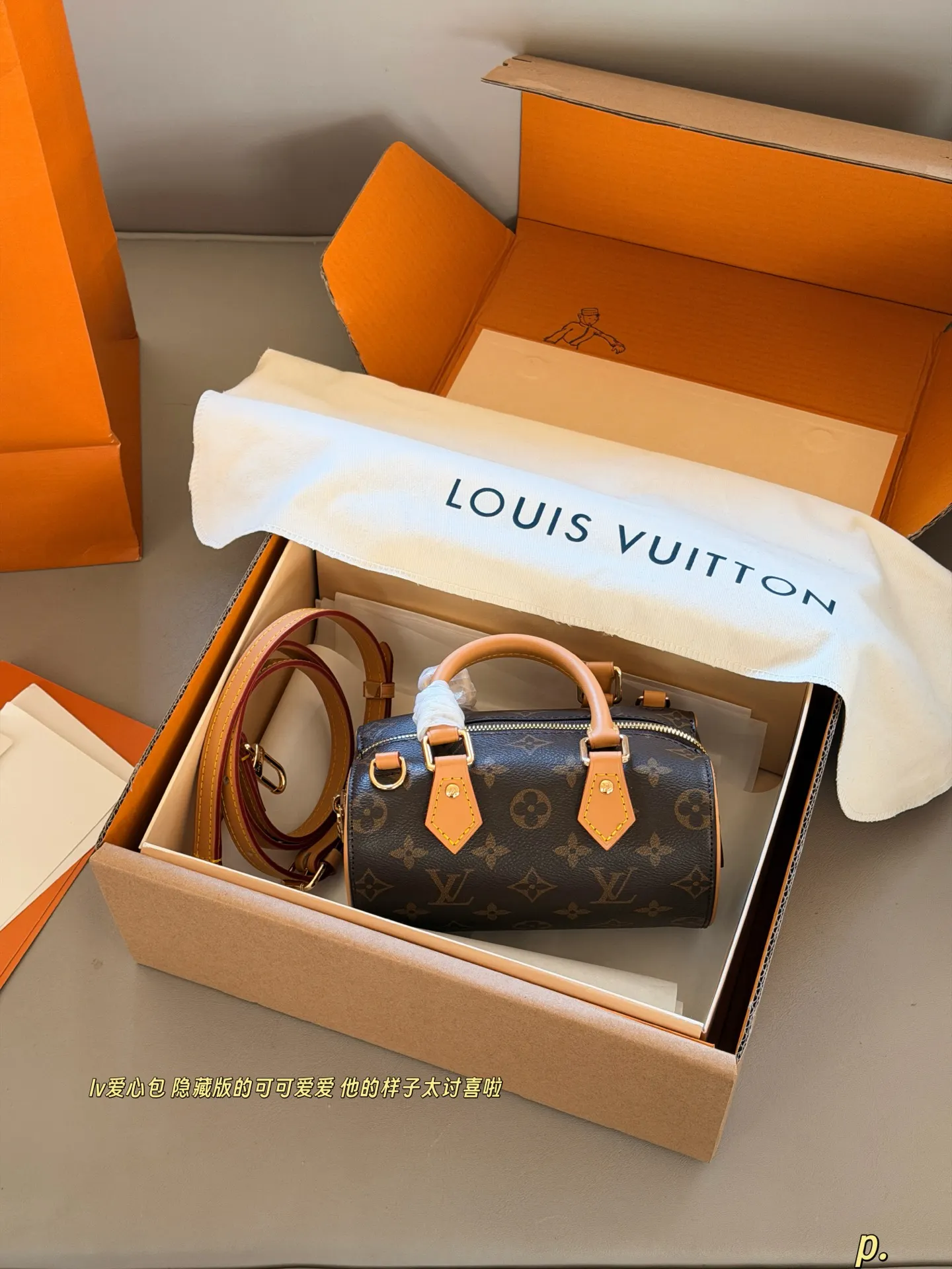 Nano Speedy Monogram Canvas Bag D30018190
