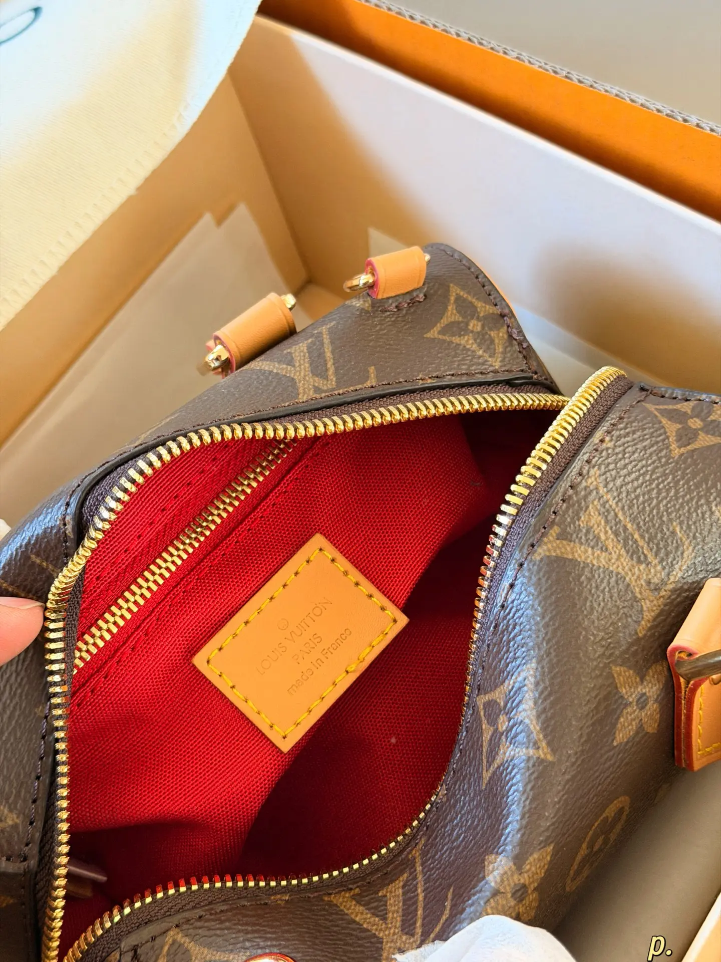 Nano Speedy Monogram Canvas Bag D30018190 — view 9