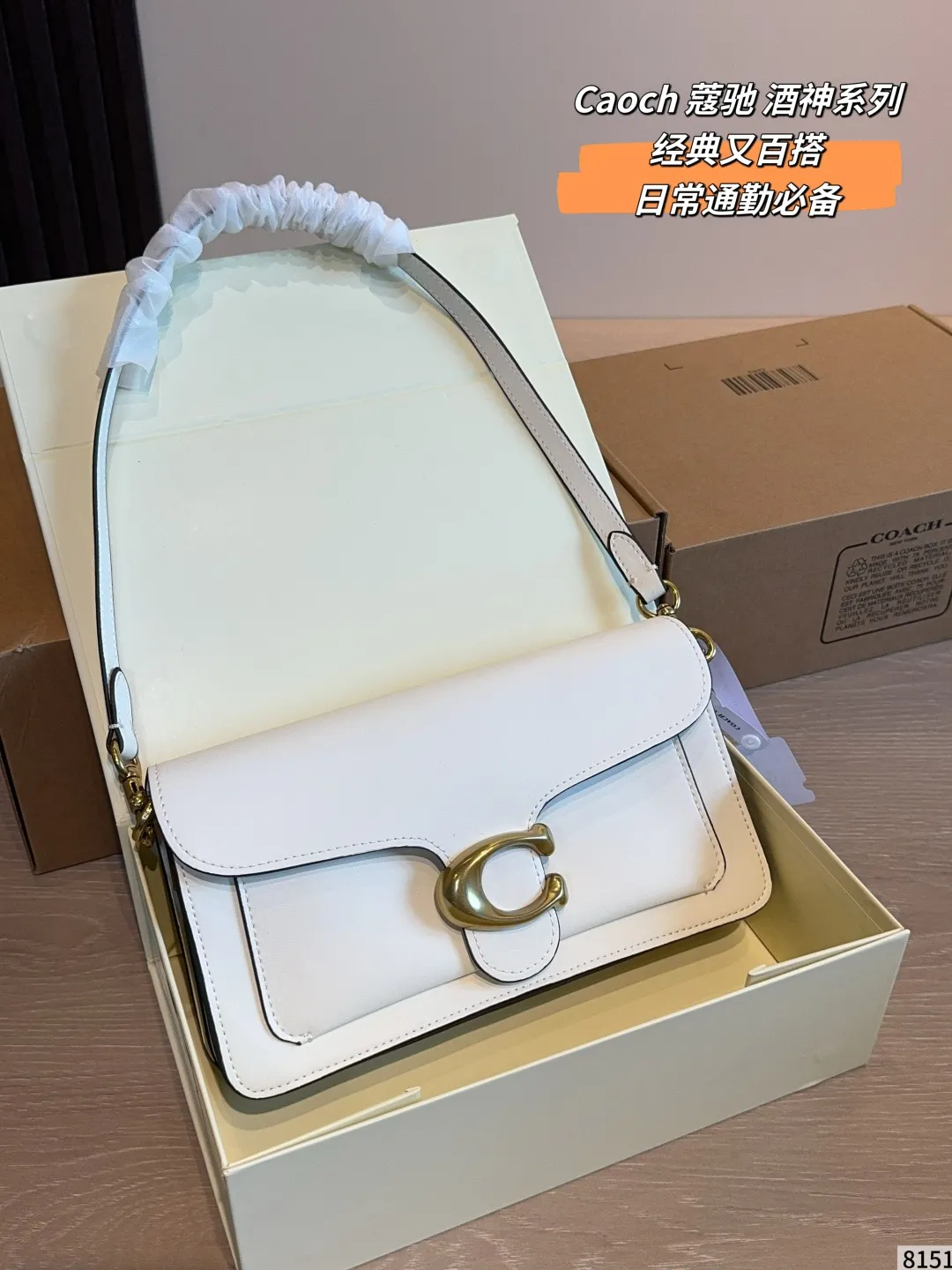Tabby Shoulder Bag in Leather D33018303 — view 10