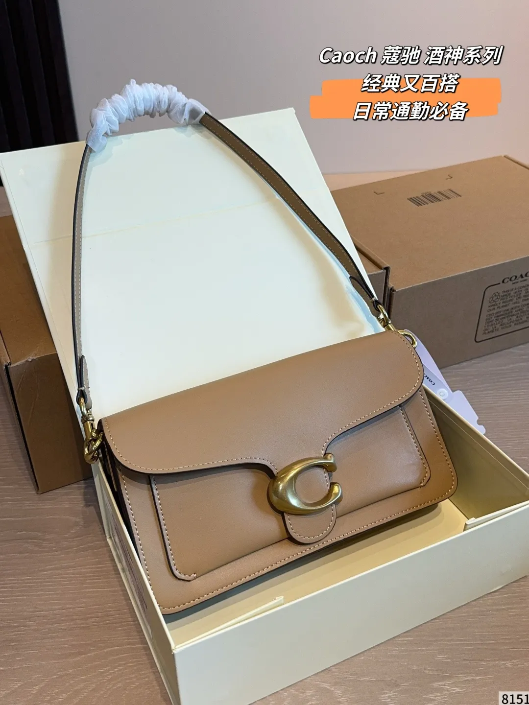 Tabby Shoulder Bag in Leather D33018303 — view 14