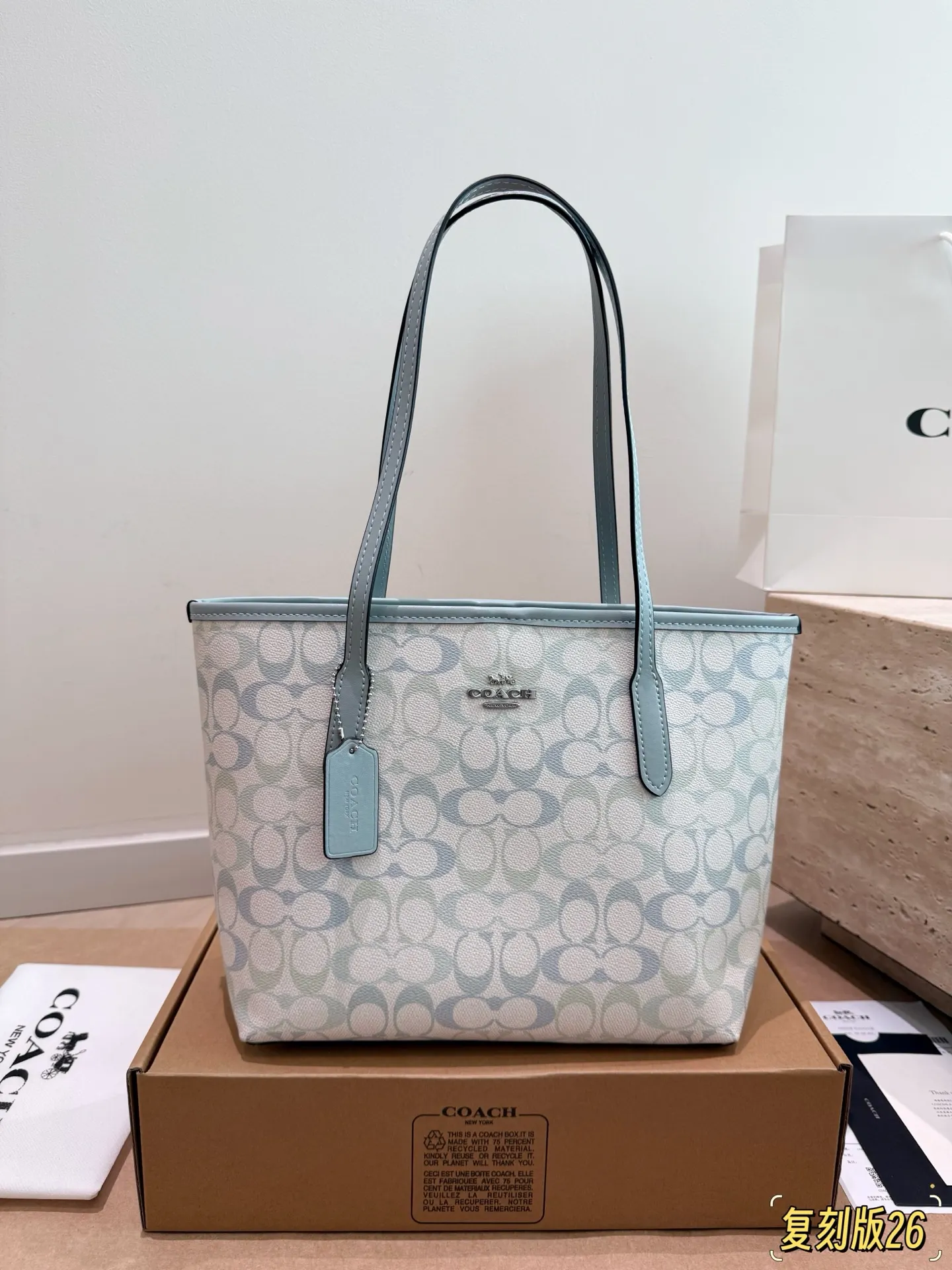 City 26 Signature Canvas Tote Bag D26018375