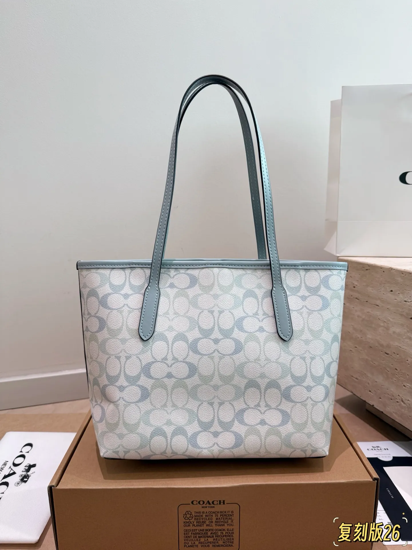 City 26 Signature Canvas Tote Bag D26018375 — view 6
