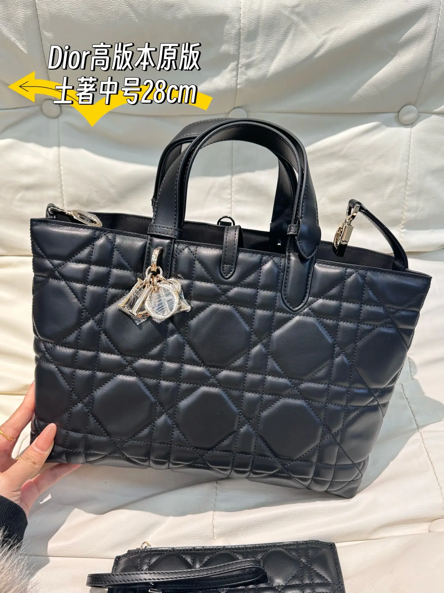 Dior Quilted Leather Tote Bag D79017766