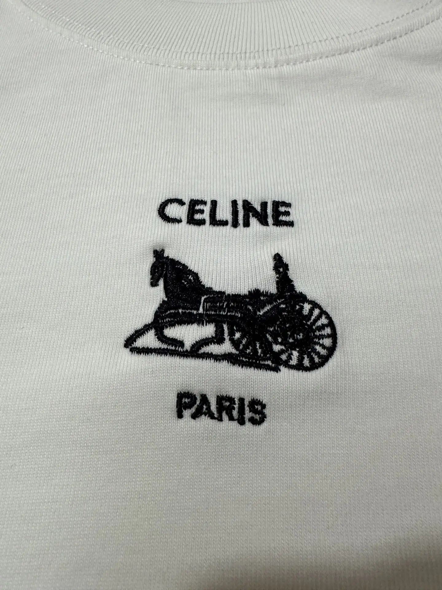 Triomphe Carriage Embroidered Long-Sleeve T-Shirt D22018847 — view 7