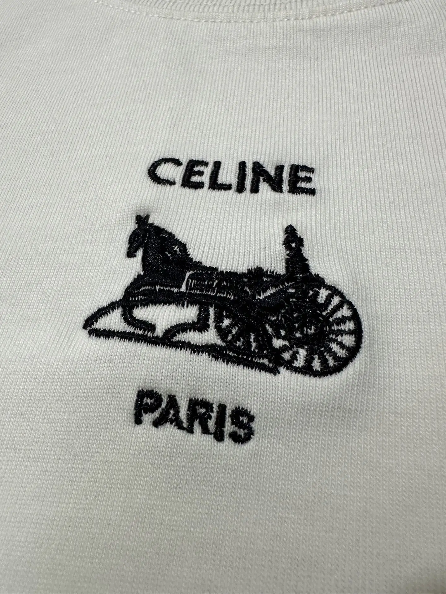 Triomphe Carriage Embroidered Long-Sleeve T-Shirt D22018847 — view 8