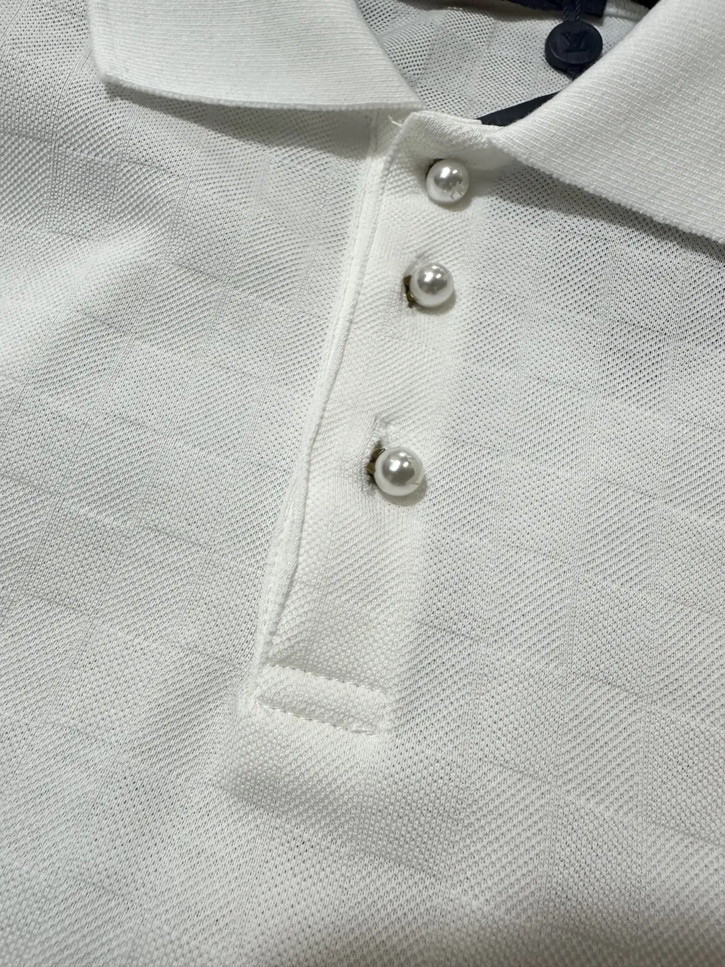 Embroidered Cotton Polo Shirt with Pearl Buttons D18511359 — view 6