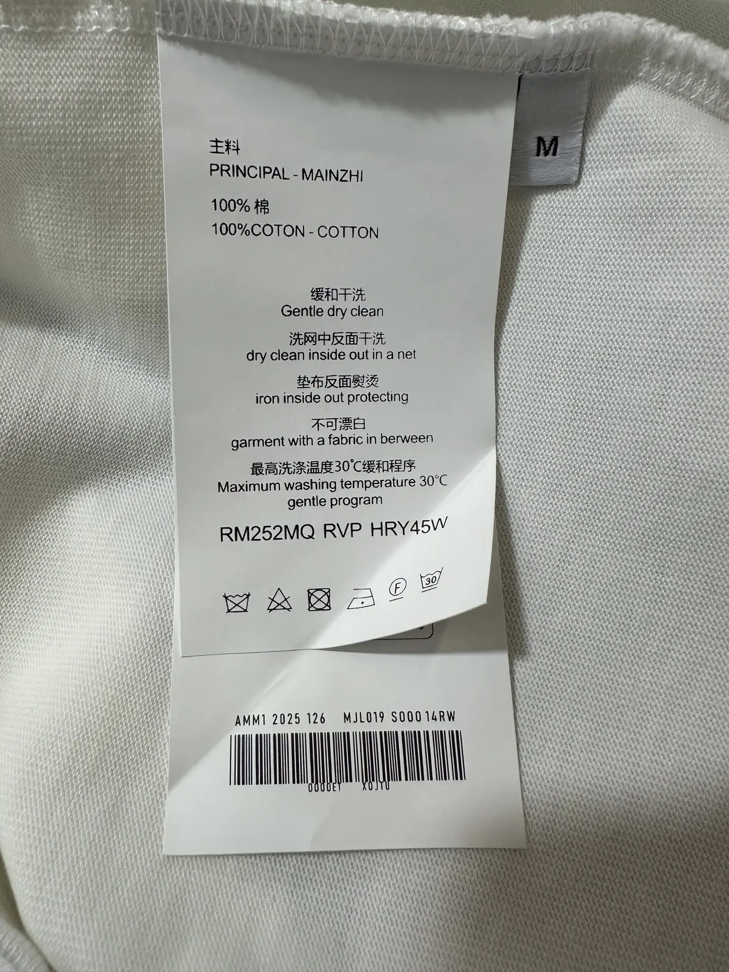 Graphic Print Heavyweight Cotton T-Shirt D20511487 — view 9