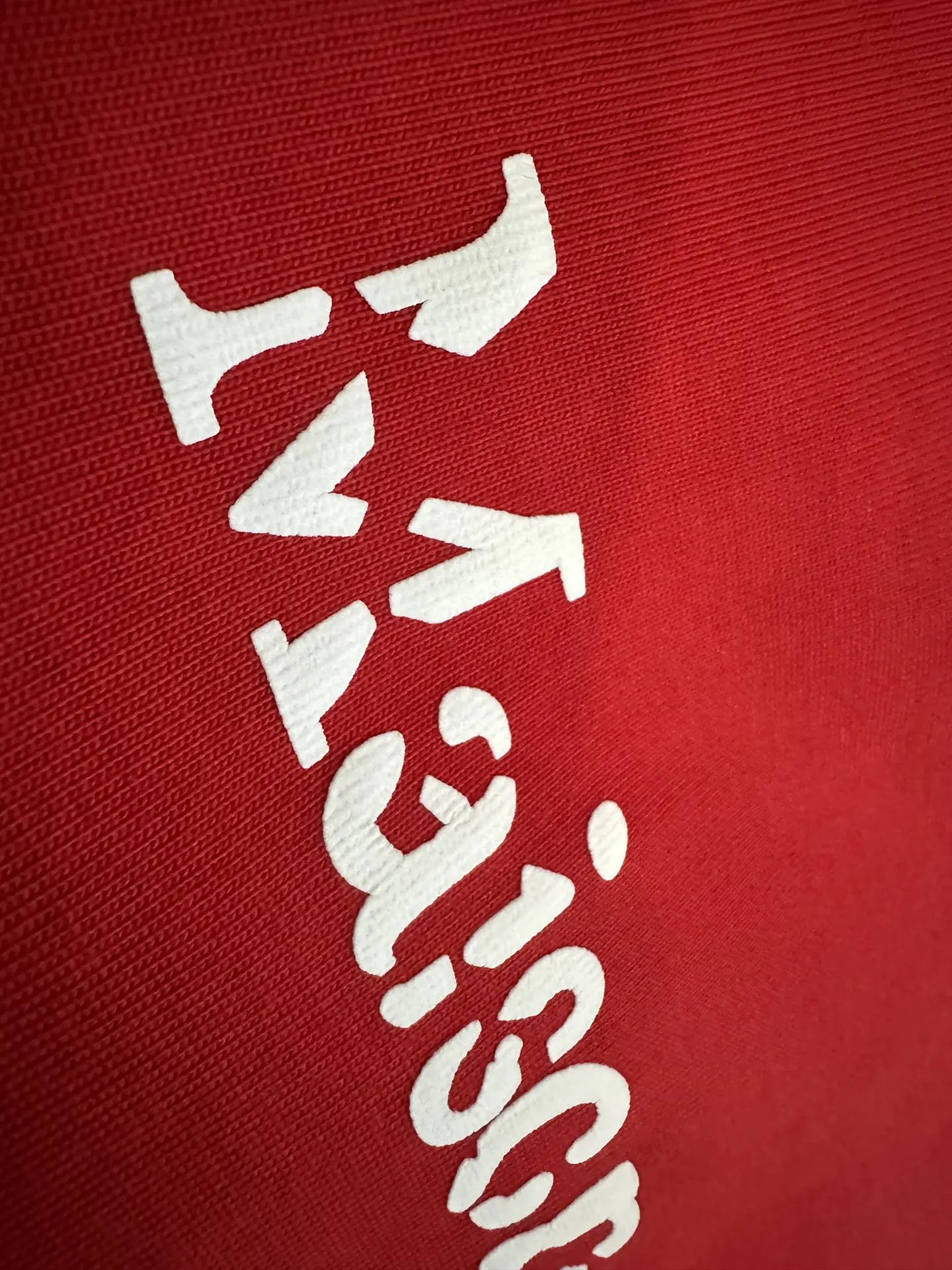 Logo Print Heavyweight Cotton T-Shirt D22011927 — view 8