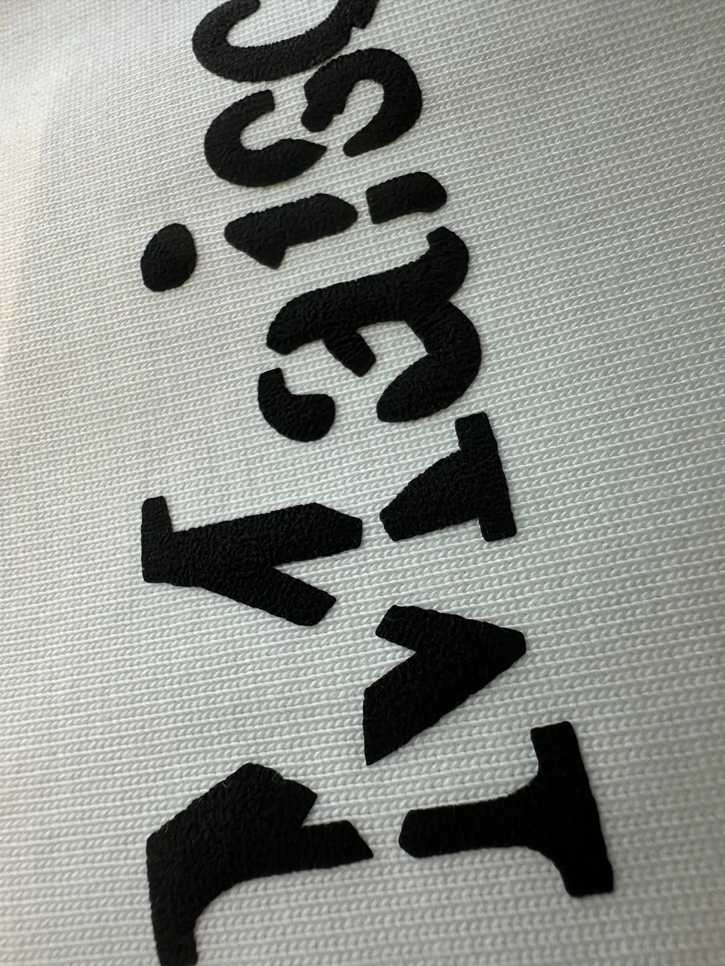Logo Print Heavyweight Cotton T-Shirt D22011929 — view 8