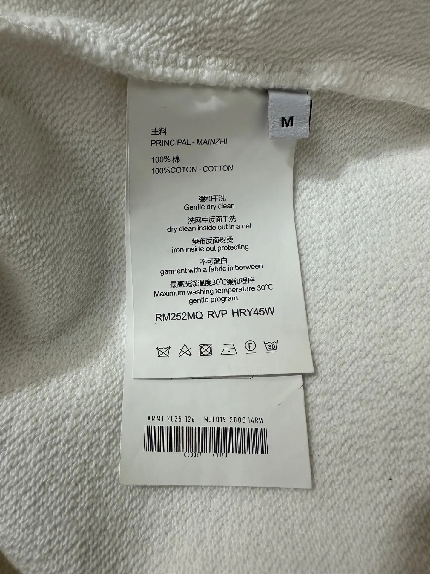 Triomphe Logo Embroidered Cotton Sweatshirt D26023112 — view 9